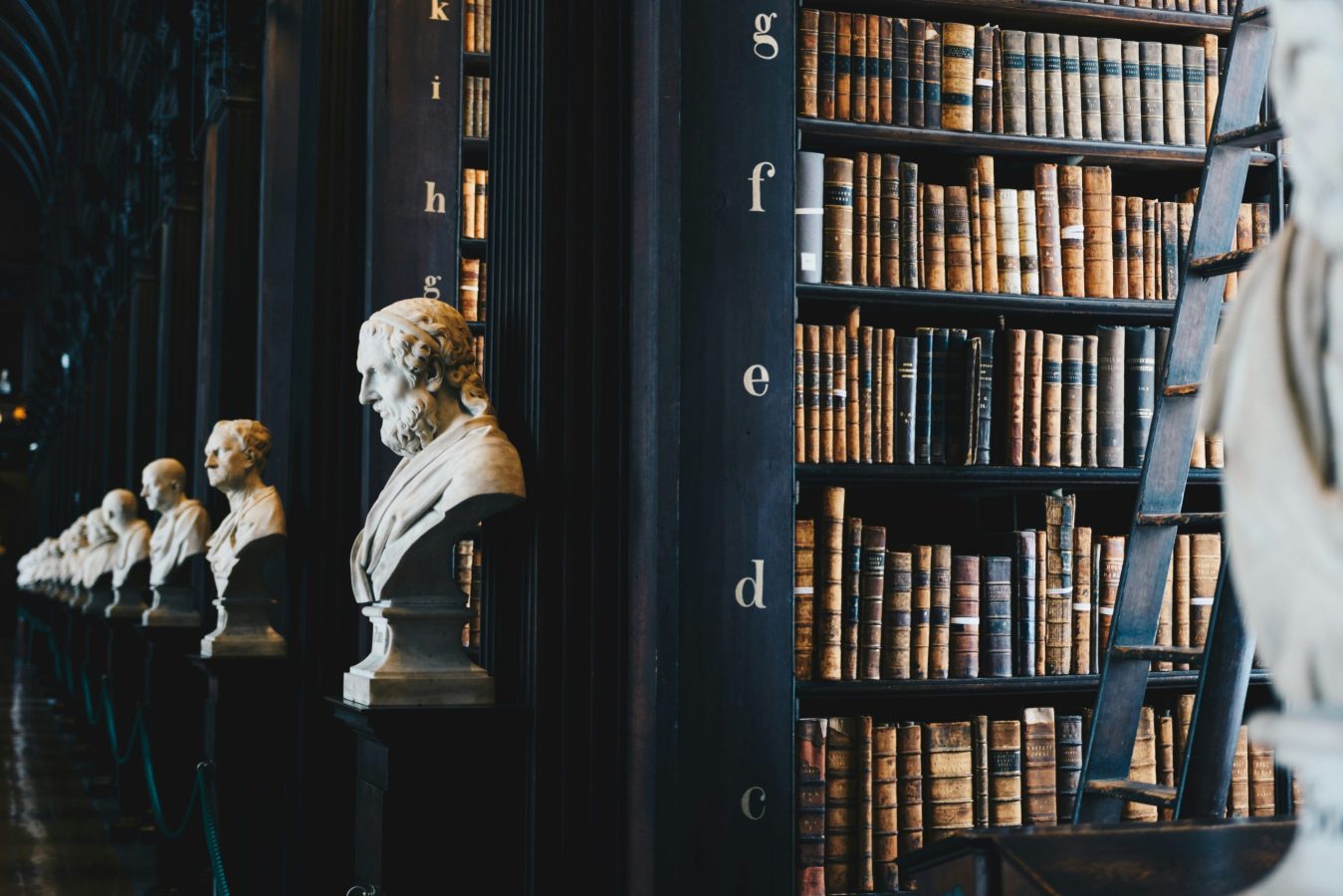 giammarco-boscaro-zeH-ljawHtg-unsplash-scaled.jpg